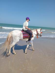 a man riding a white horse on the beach at Hôtel Nanaay in Palmarin
