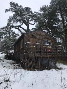 a wooden cabin in the snow with a tree at Pine Marten Bar Glenmore Treehouse in Aviemore +11 photos