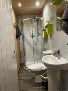Un baño con ducha, inodoro y lavabo. en Pine Marten Bar Glenmore Treehouse, en Aviemore
