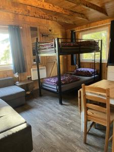 una habitación con dos literas en una cabaña en Pine Marten Bar Glenmore Treehouse, en Aviemore