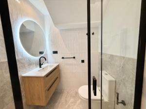 Un baño con lavabo, inodoro y espejo. en AM IV Segovia VUT, en Segovia