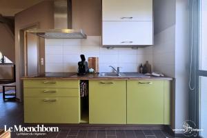 Una cocina con gabinetes verdes y un fregadero. en Le Moenchborn - la Maison des Vignerons, en Orschwiller 15 fotos más