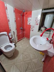 a bathroom with a white toilet and a sink at Nizami 37 in Baku