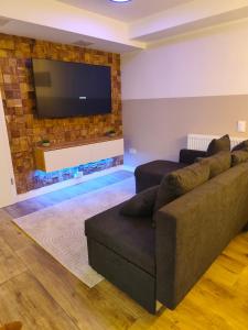 ジークブルクにあるAmaleo Apartments Siegburgのソファと薄型テレビのあるリビングルーム