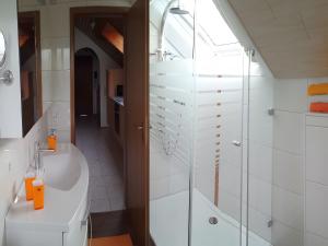 a bathroom with a shower and a sink at Haus Oettinger in Hayingen