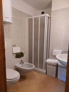 a bathroom with a shower and a toilet and a sink at Lo chalet di Lucky in Campodolcino