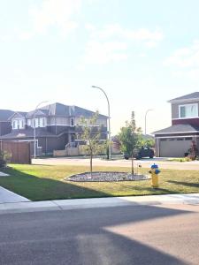 a yellow and blue fire hydrant in a yard with houses at Cozy Basement Suite - private entrance - Free Netflix in Edmonton