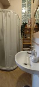 a bathroom with a shower and a white sink at La Casetta tra Chianti e Firenze in Scandicci