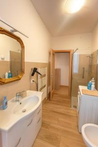 a bathroom with a sink and a mirror and a shower at Borgo nel Vigneto 1 in Erbusco