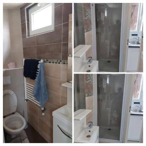 Un baño con ducha, inodoro y lavabo. en Le Shelby's - Appartement cosy et lumineux !, en Villeneuve-Saint-Georges 4 fotos más