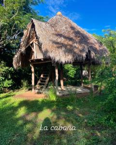 a hut with a thatched roof and a ladder at Hostal Ojo de Agua in Nagarote +30 photos