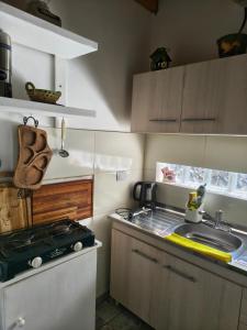 a small kitchen with a sink and a stove at Los Bichos in Estancia Vieja