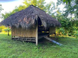 a small hut with a grass roof on a field at Hostal Ojo de Agua in Nagarote