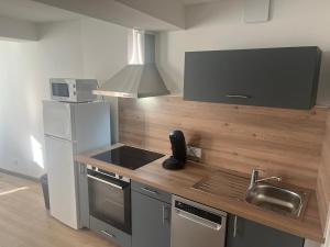 a small kitchen with a sink and a refrigerator at Bel appartement au centre du vieux Nyons en Drôme Provençale in Nyons