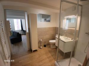 a bathroom with a toilet and a glass shower at Bel appartement au centre du vieux Nyons en Drôme Provençale in Nyons