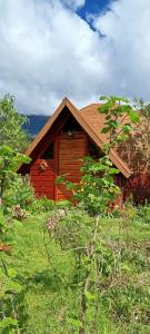 a small wooden house in a field of grass at Domo Vive Pellaifa in Coñaripe