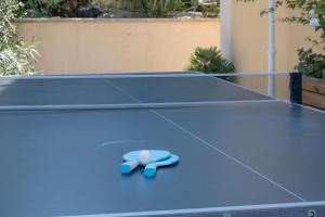 ein Paar blaue Flip-Flops auf einem Tennisplatz in der Unterkunft Appartement N°2 - Piscine Partagée in Lagorce