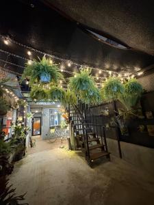 Un jardín fuera de 植蕨行旅Residence