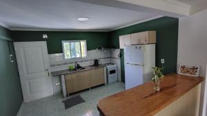 a kitchen with green walls and a wooden counter top at Departamento Costa Del Sol - 2 dormitorios in Neuquén