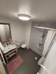 een badkamer met een wastafel, een toilet en een spiegel bij Résidence de Perros-Guirec in Perros-Guirec +18 foto's