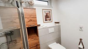 a bathroom with a toilet and a glass shower stall at Gemütliches Ferienapartment Für jedes Budget in Horhausen