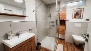 a bathroom with a shower and a sink and a toilet at Feines Feriendomizil Waldzauber 2 Horhausen Westerwald in Horhausen +19 photos