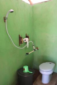 baño con aseo y pared verde en Maricho Homestay, en Besir 58 fotos más