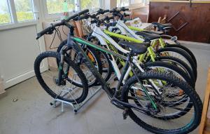 Un grupo de bicicletas estacionadas una al lado de la otra en Amazing Apartment In Janjina With Lake View, en Drače