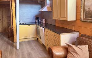 Kuchyň nebo kuchyňský kout v ubytování Pet Friendly Apartment In Ljørdalen