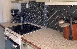 Lovely Home In Abelvær With Wifi في Abelvær: مطبخ مع حوض وطاولة عمل