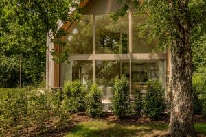 une maison en verre avec un arbre en face de celle-ci dans l'établissement Woodz Lodges - Unwind in nature, à Bolderberg