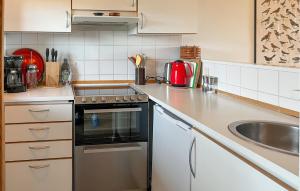 a kitchen with a stove and a sink at Awesome Apartment In Hals With House A Panoramic View in Skovsgård