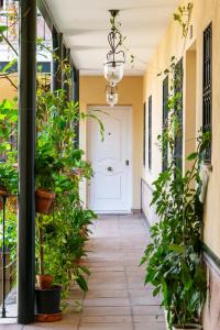 un pasillo con macetas y una puerta blanca en Alohamundi Rocío, en Sevilla