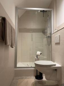 a white bathroom with a shower and a toilet at Ferienwohnung-Pappelhof in Dannau +31 photos