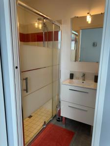 een badkamer met douche, wastafel en spiegel bij Joli studio de 30 m2 in Laval