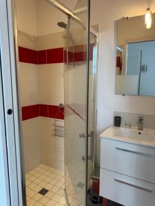 een badkamer met een douche en een wastafel bij Joli studio de 30 m2 in Laval