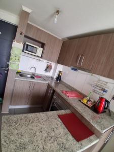 Una cocina con gabinetes de madera y encimera. en Departamento Parque O'Higgins, en Santiago