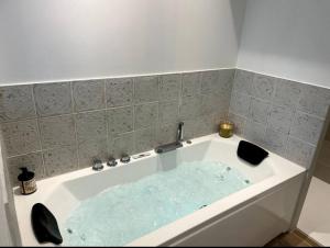 Ένα μπάνιο στο Charmant Studio Balneo wifi clim borne electrique