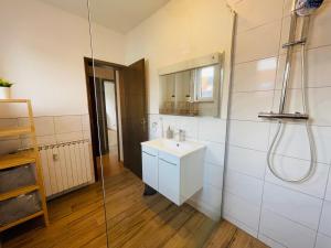 プラインフェルトにあるDill Apartment Pleinfeld am Brombachsee Vの洗面台とシャワー付きのバスルーム
