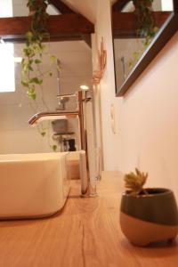 a bathroom counter with a sink and a potted plant at Gîte 'Le 31' in Coulaines +25 photos
