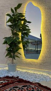un espejo en una pared con una planta delante en شالية همس الفاخرة, en Taif