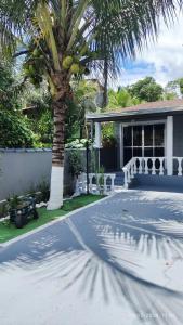 una palmera delante de una casa en Encanto Paraty - casa aconchegante com acesso ao rio, en Paraty