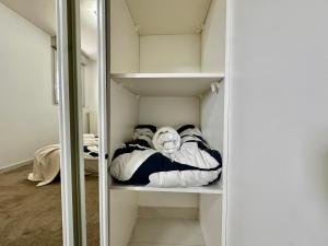 un vestidor lleno de toallas en KAALA RIVERSIDE Deluxe apt entre Disney et Paris free Parking, en Lognes 13 fotos más