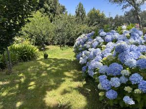 Zahrada ubytování Quinta de Melquíades + 2 fotografie