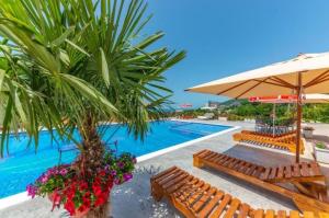 a pool with benches and an umbrella and a palm tree at Apartments Djurovic with Pool in Dobra Voda