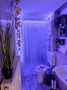 Un baño con ducha, inodoro y lavabo. en Monteur Ferienwohnungen Auetal, en Bad Bodenteich