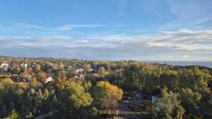 an aerial view of a town in the forest at Panorama in Sopot