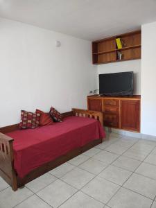 Un dormitorio con una cama y un televisor de pantalla plana. en Parque San Martín 53, en San Salvador de Jujuy 5 fotos más