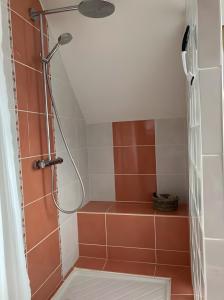 a shower in a bathroom with brown and white tiles at Chambre d'hotes à Laroin in Laroin +6 photos