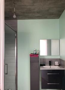 Imagen de la galería de Logement f2 Bains les bains La Chapelle, en Bains-les-Bains
